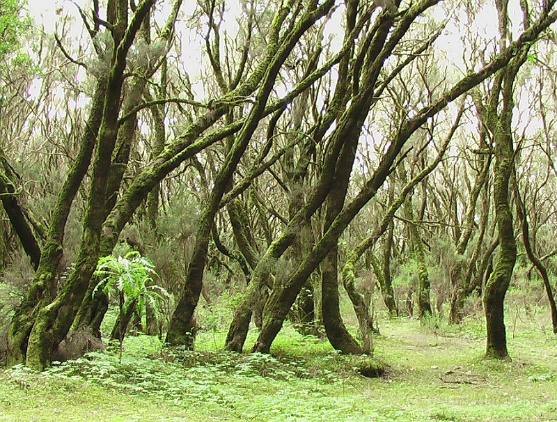 IMGA0020.jpg