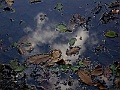 DSCN0225