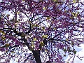 DSCN0656