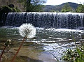 DSCN0675
