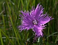DSCN0883