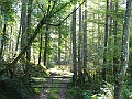 IMG_0036a