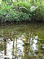 IMG_0038