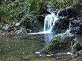 IMG_0041