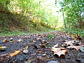 IMG_0046