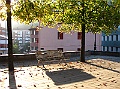 IMG_0050