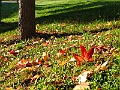 IMG_0055