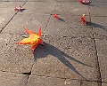 IMG_0060