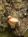 IMG_0084
