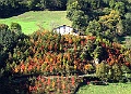 IMG_0086a