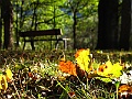 IMG_0098
