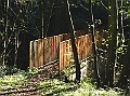 IMG_0129a